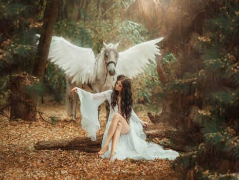 Fantasy