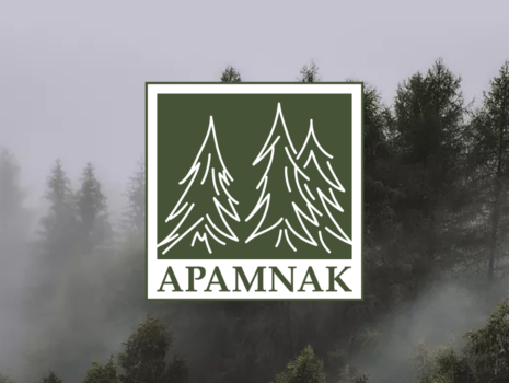 Apamnak