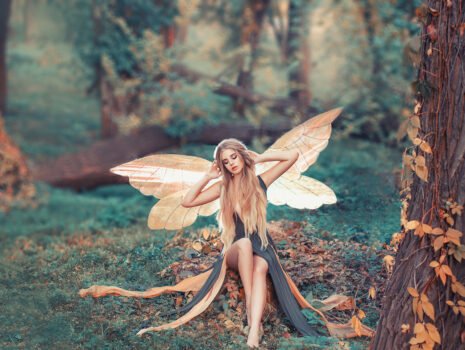 The Butterfly