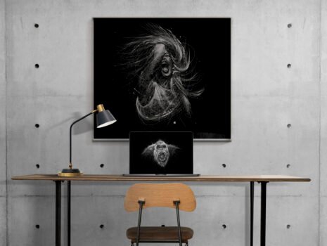 Black and White Illustration
