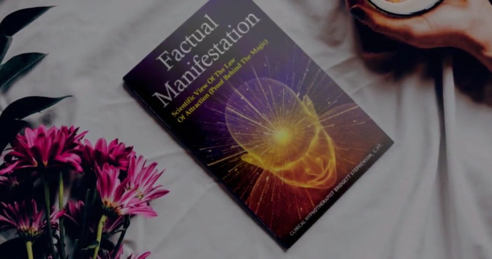 FACTUAL MANIFESTATION